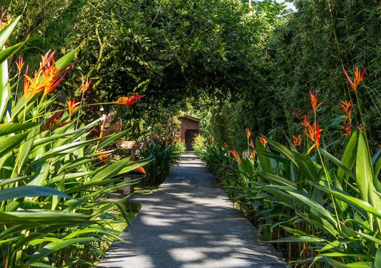 Natural landscape in Hotel El Silencio del Campo