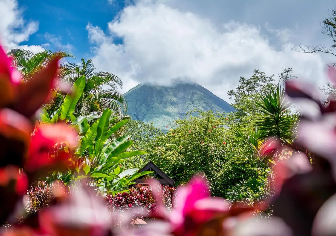 Natural landscape in Hotel El Silencio del Campo