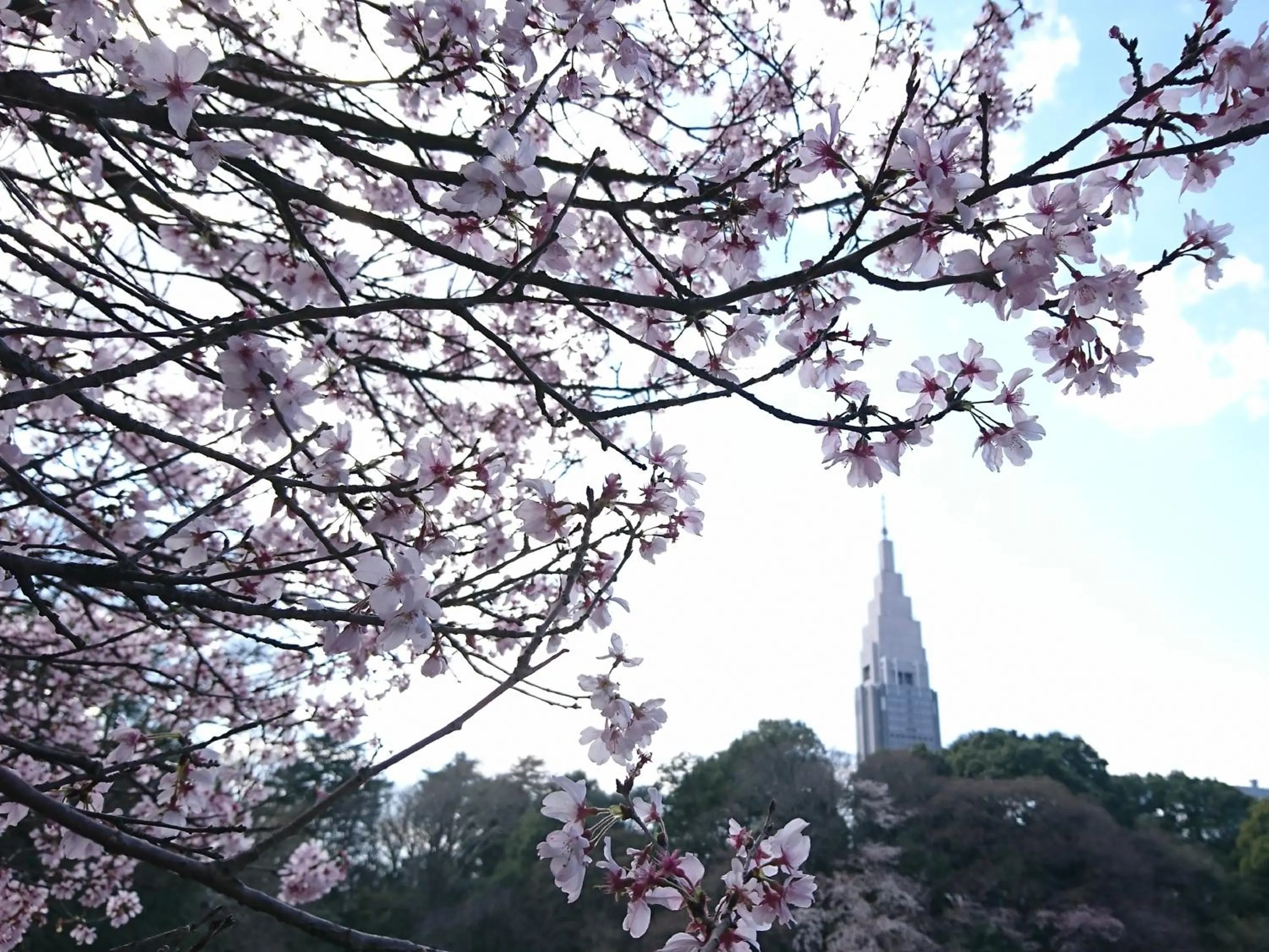 Nearby landmark in APA Hotel Higashi Shinjuku Kabukicho