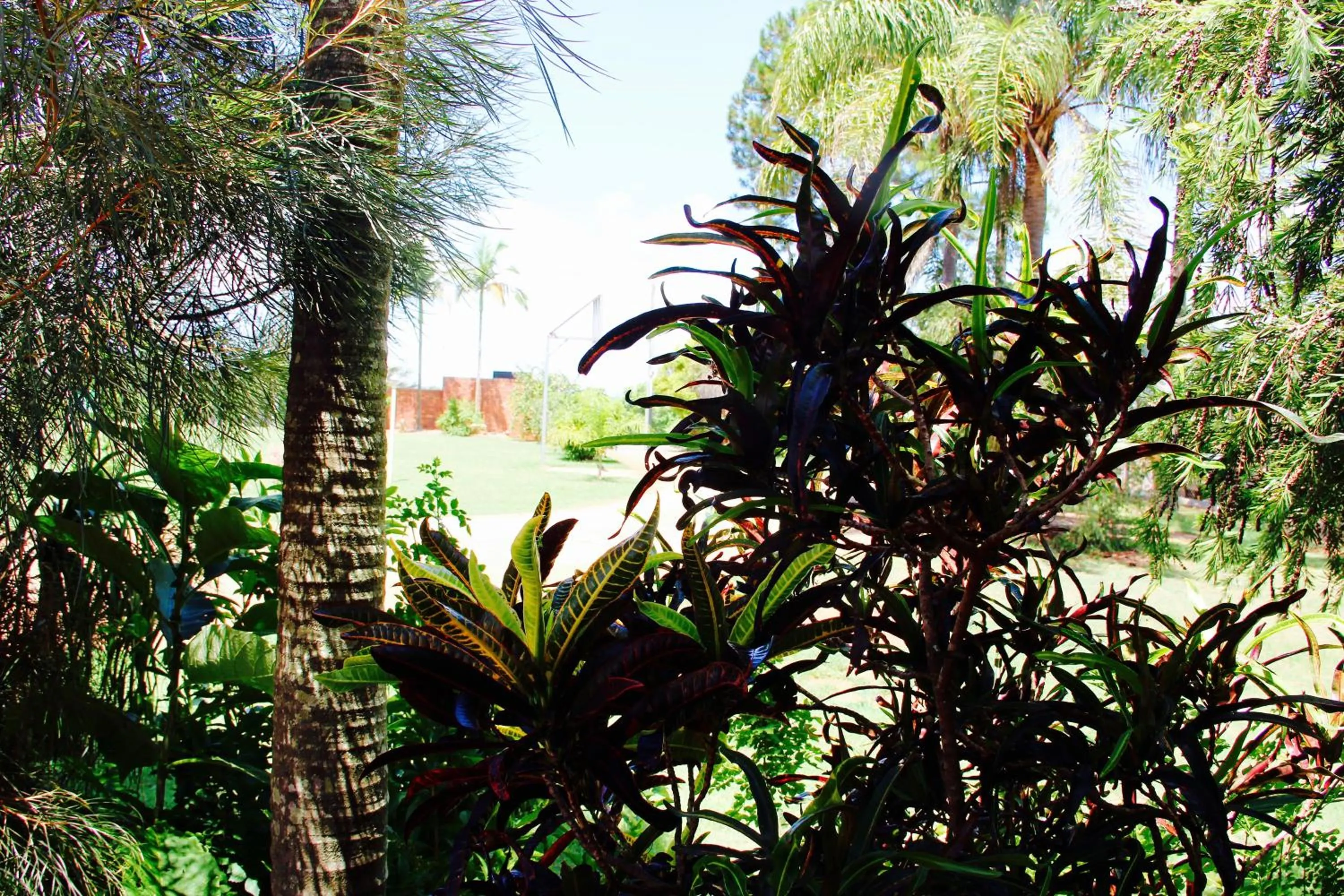 Garden in Childers Gateway Motor Inn