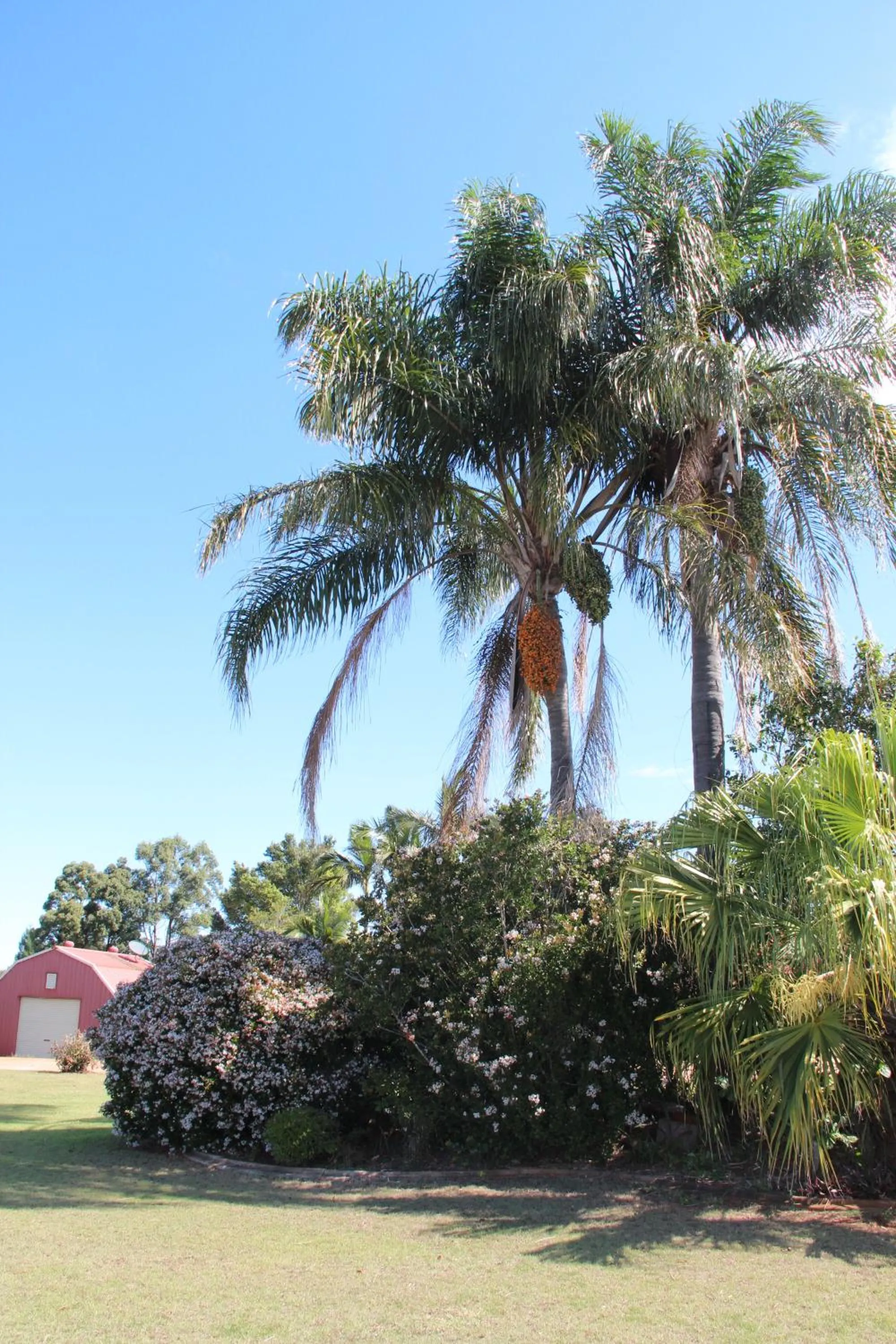 Garden in Childers Gateway Motor Inn