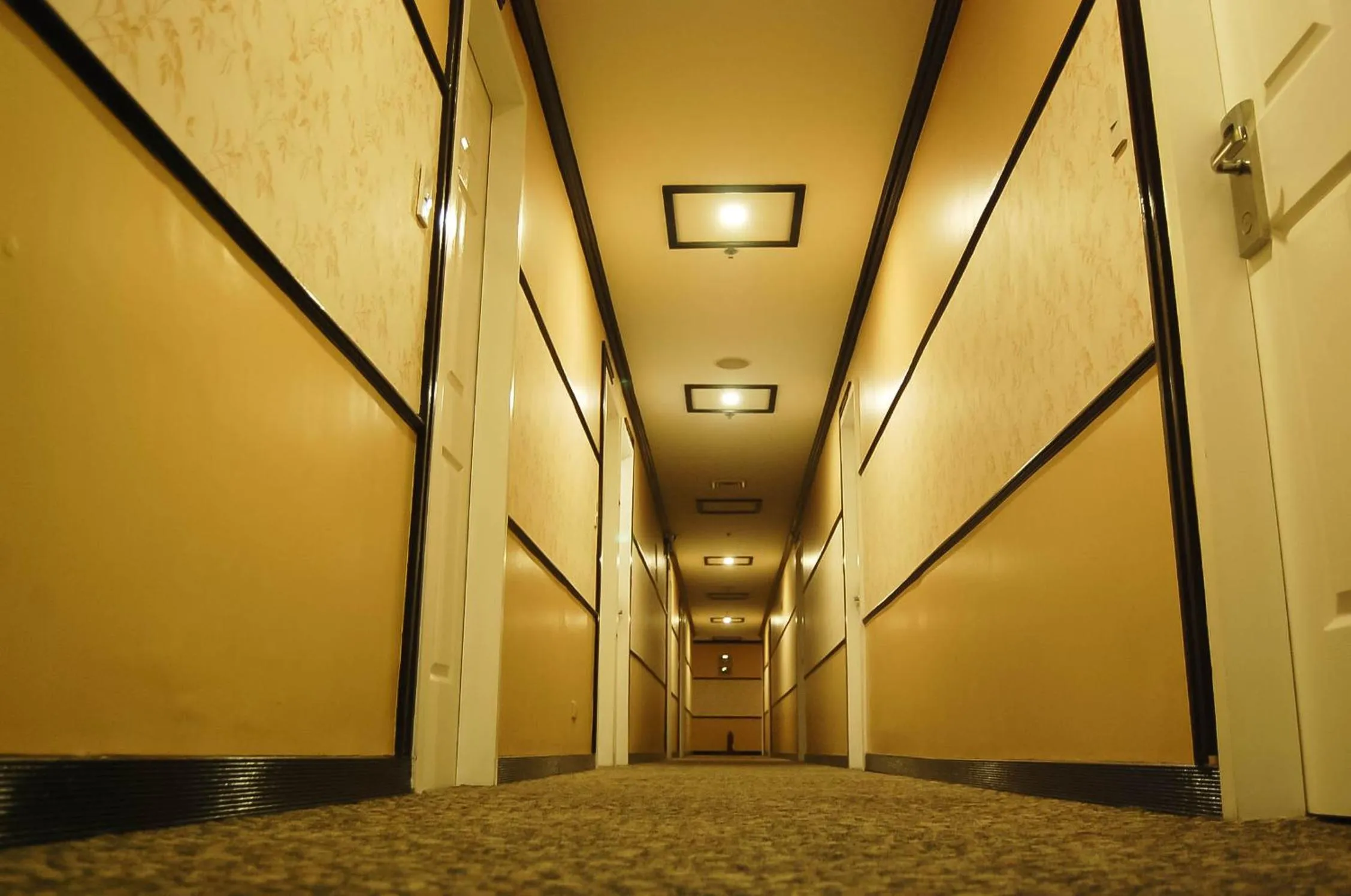 Other in Hotel Sogo Quezon Avenue