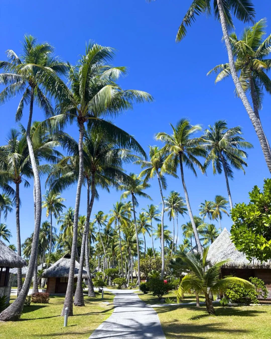 On site in Hotel Kia Ora Resort & Spa