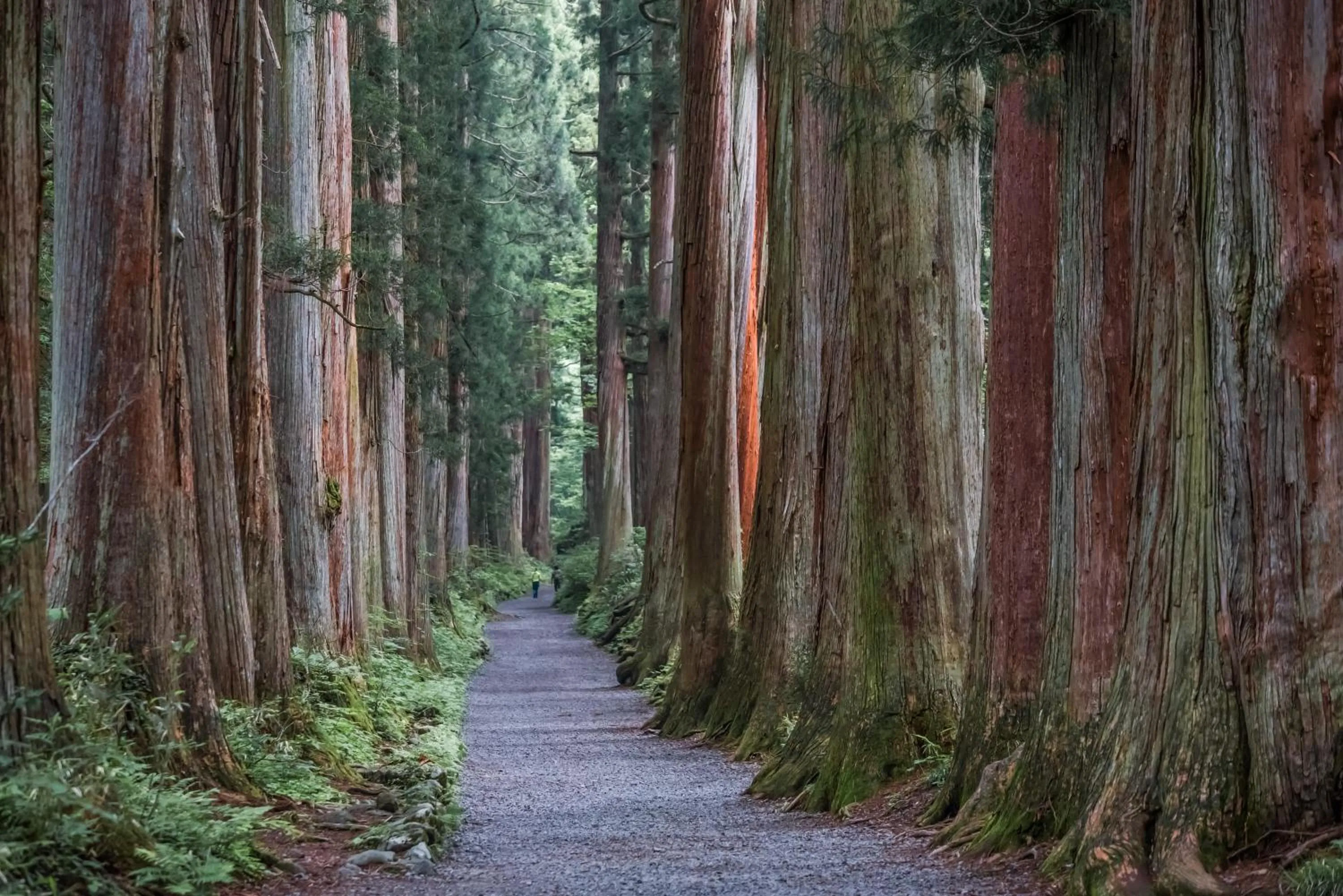 Nearby landmark in Yumotoya