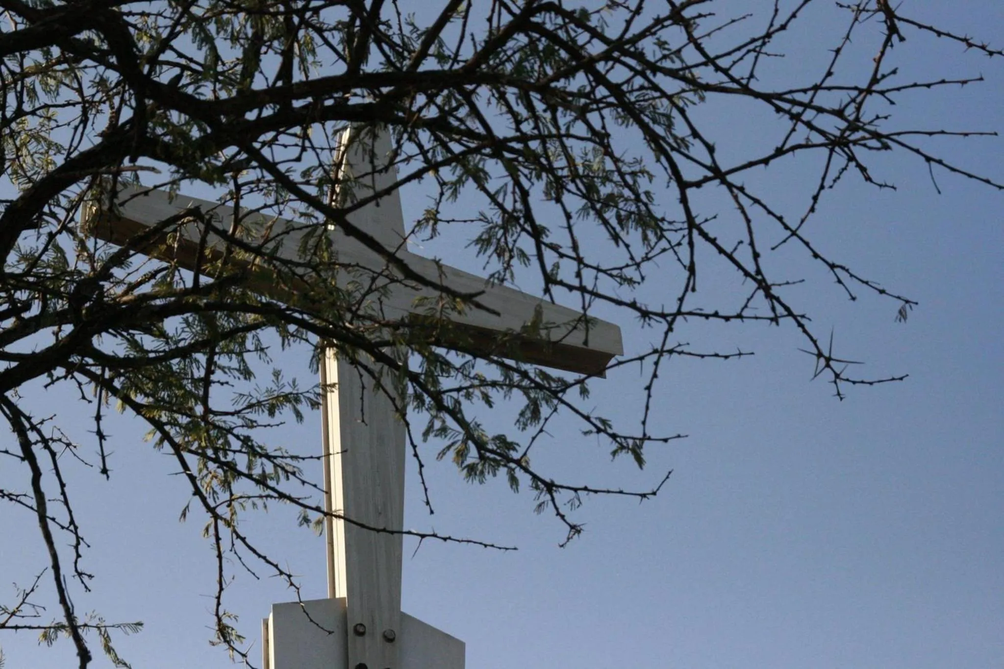 Other in Spion Kop Lodge