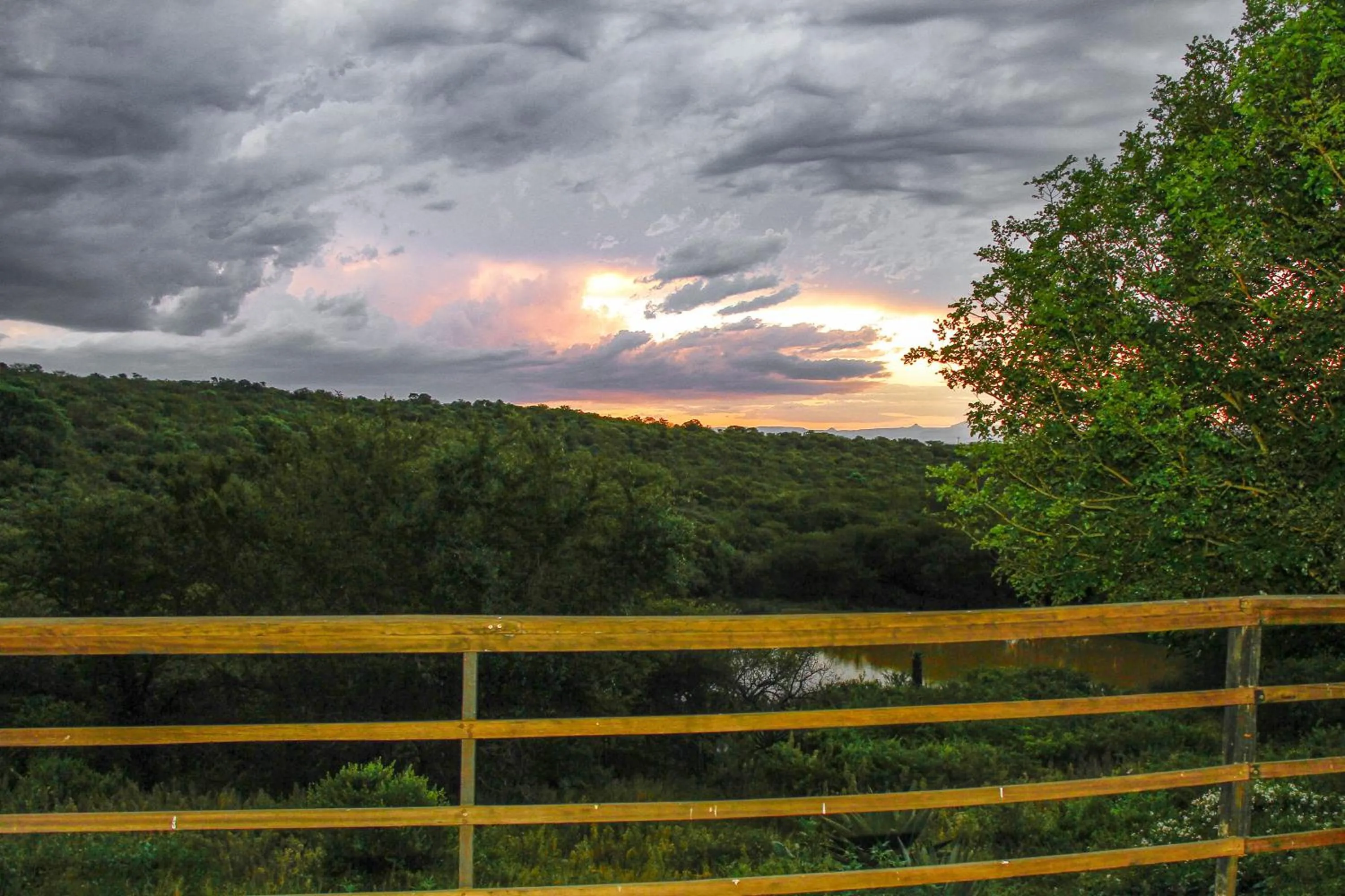 Property building in Spion Kop Lodge