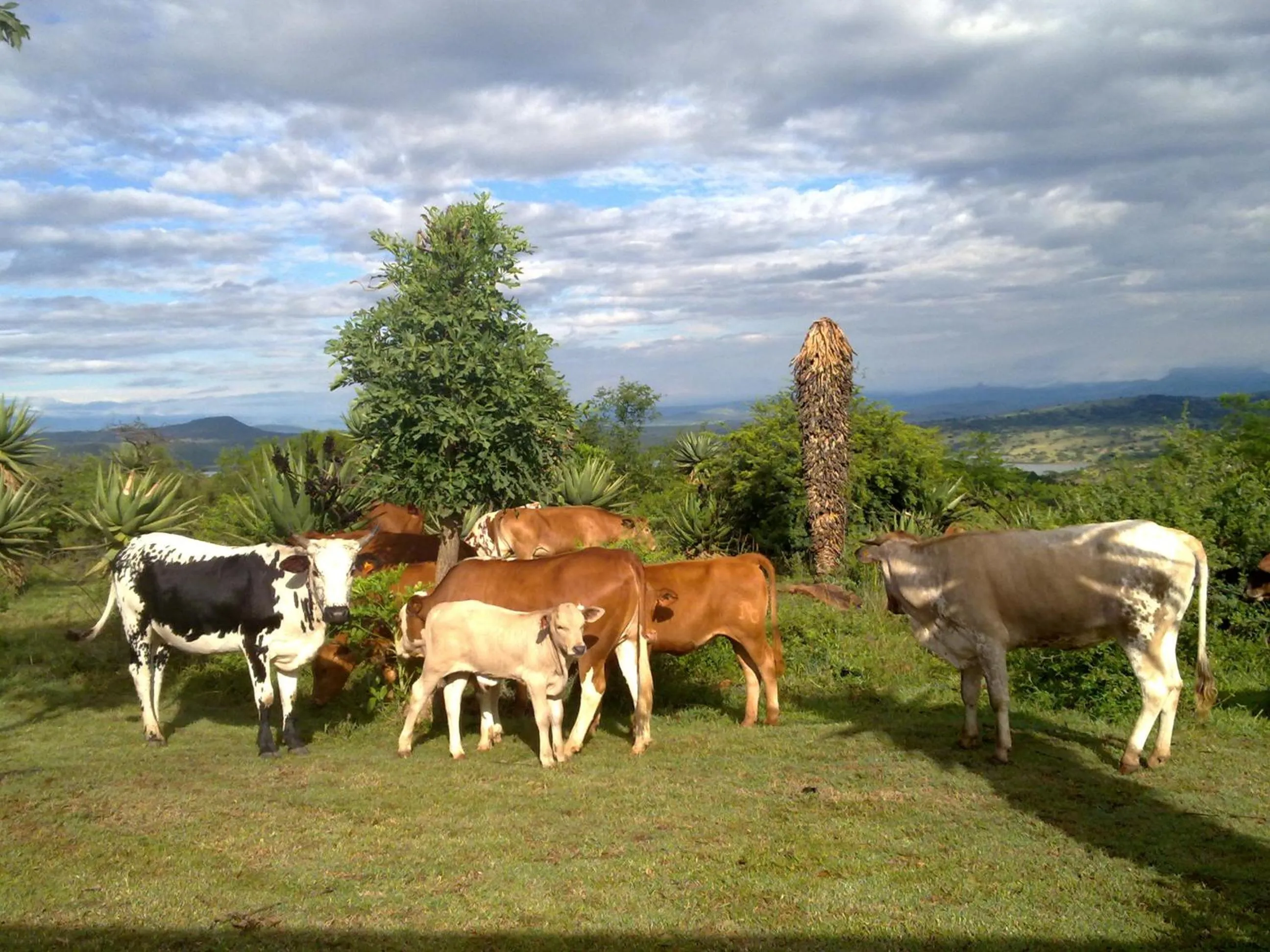Day in Spion Kop Lodge