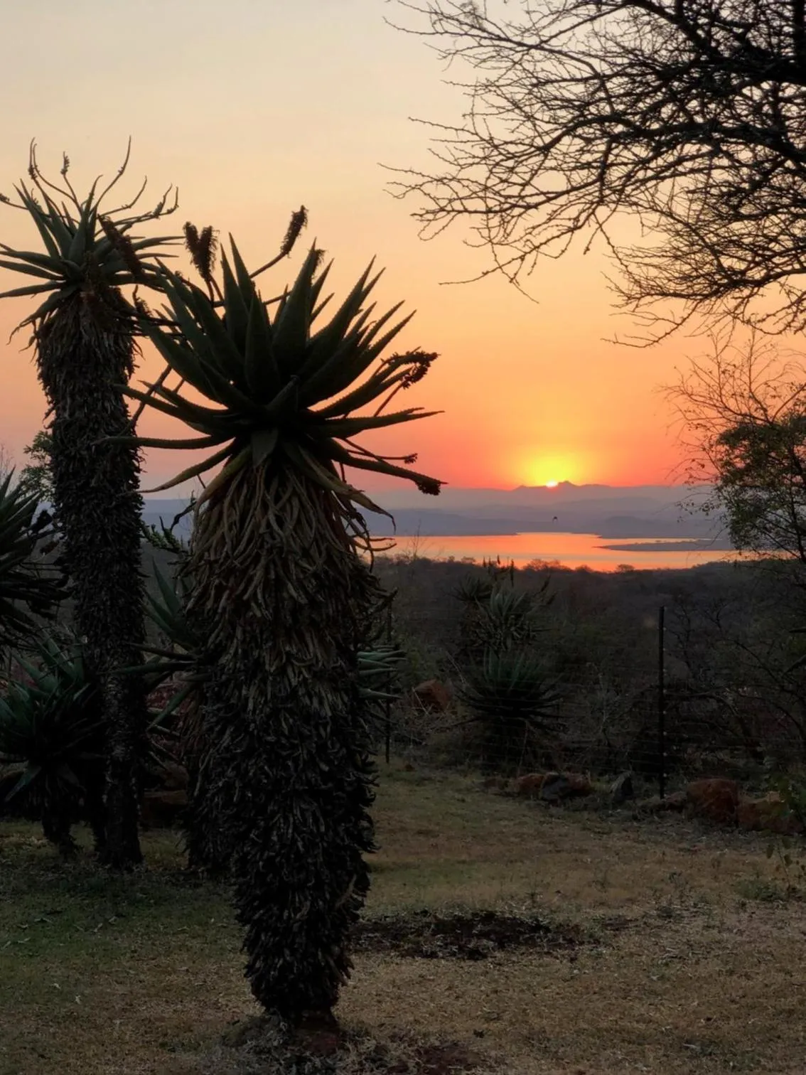 Natural landscape in Spion Kop Lodge