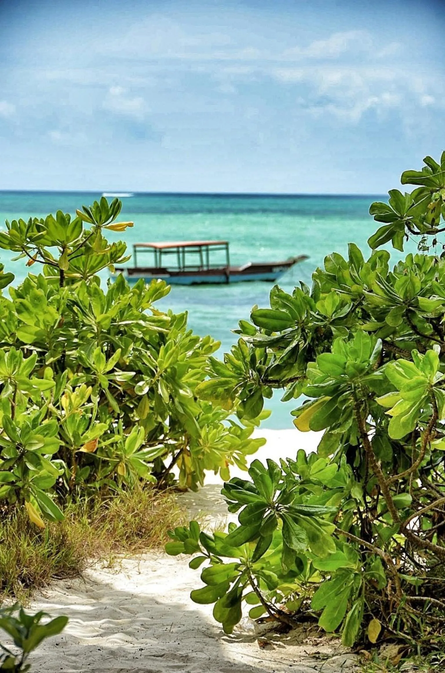 Beach in Pongwe Beach Hotel