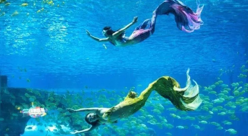 Steigenberger Hotel SUNAC Jinan