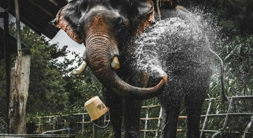 HotelBanAunirukChiangrai