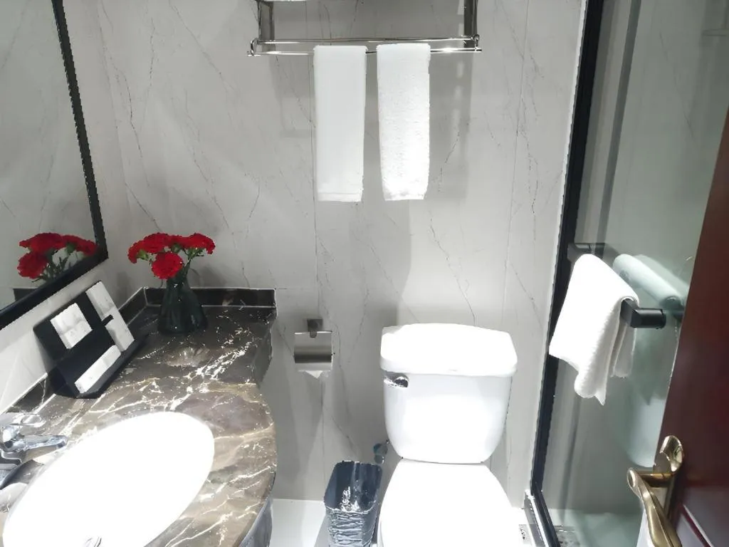 Borrman Hotel Chongqing Hechuan High-speed Railway Station District Government