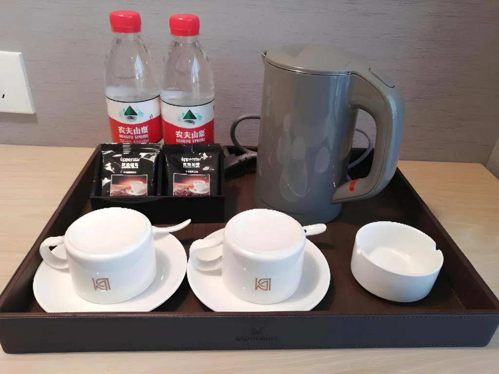 Borrman Hotel Chongqing Hechuan High-speed Railway Station District Government