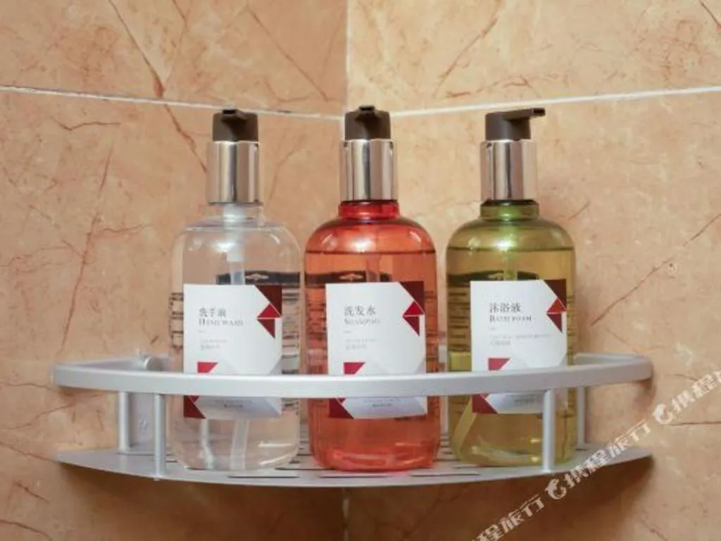 Borrman Hotel Chongqing Hechuan High-speed Railway Station District Government