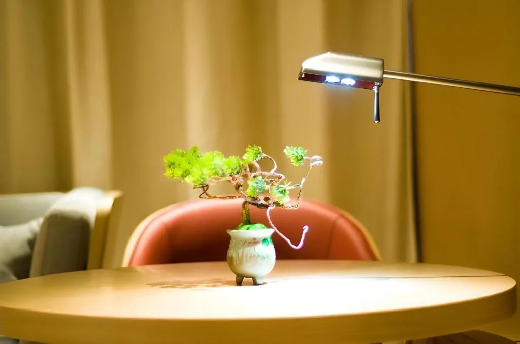 Echeng Hotel Enshi Minzu Road