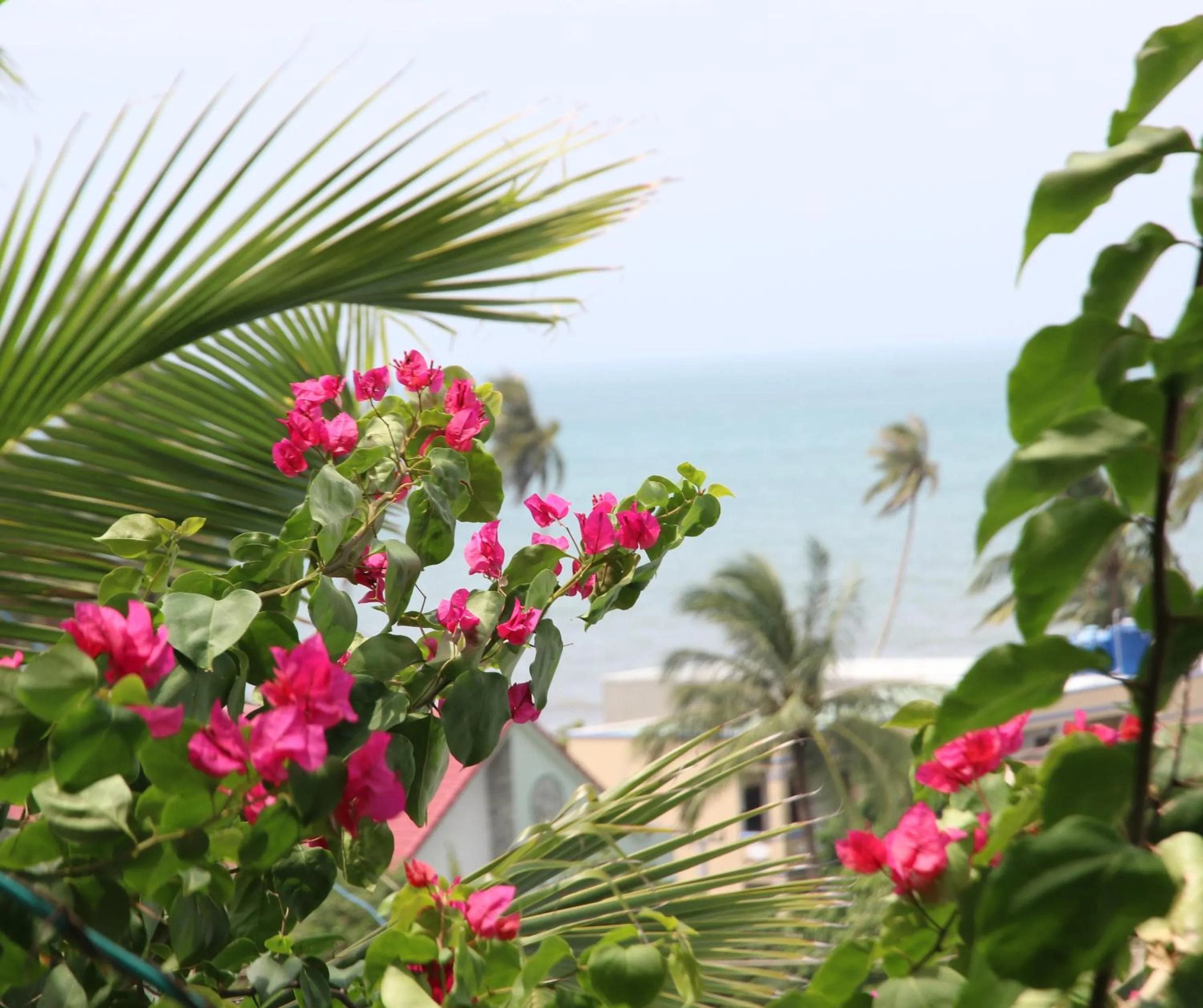 Natural landscape in Quoc Dinh Guest House