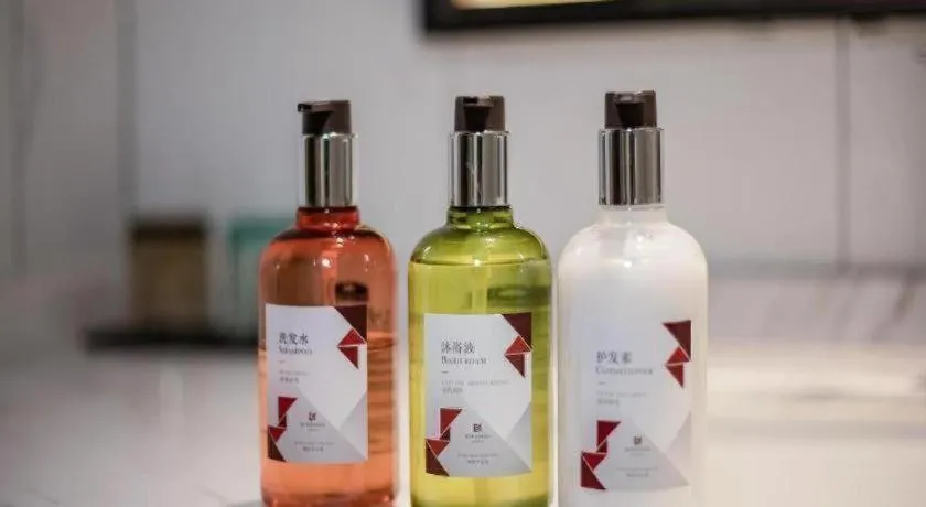 Borrman Hotel Baise High-speed Railway Station Hengning Plaza