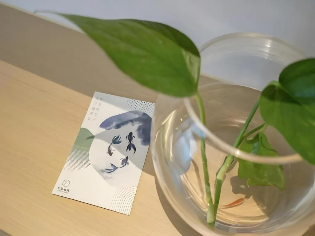 Deep Sleep Hotel Nanjing Confucius Temple Metro Station