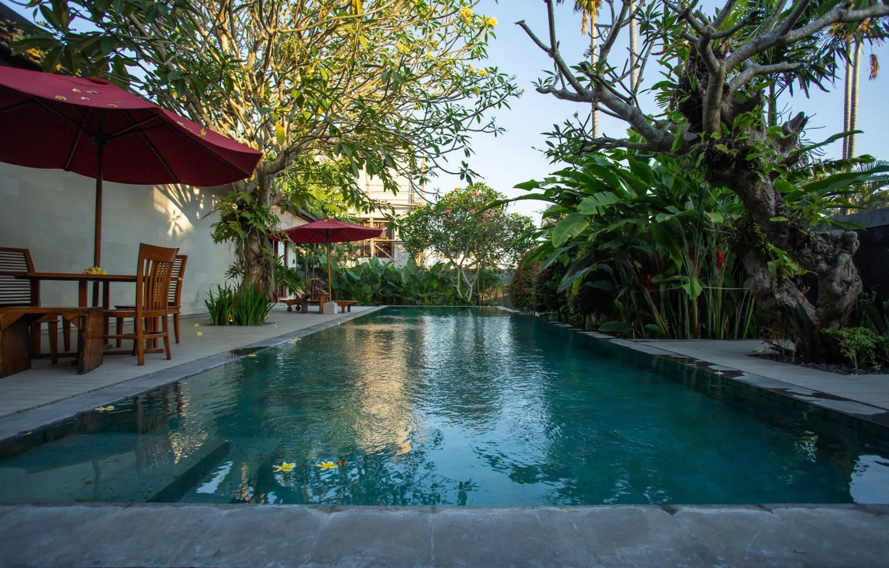 Swimming pool in Enchanting Canggu Villa