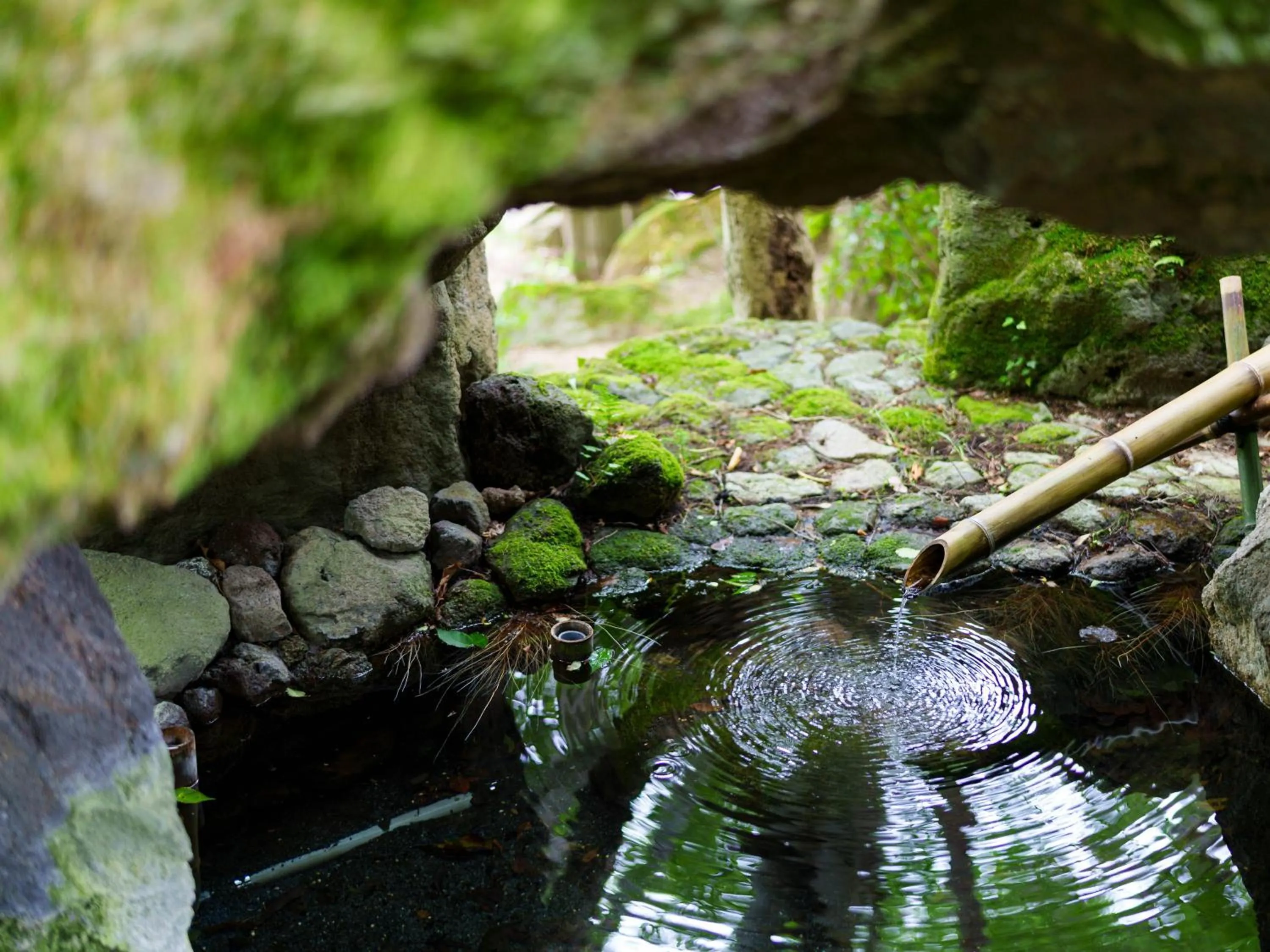Area and facilities in Yufuin Rakuyu