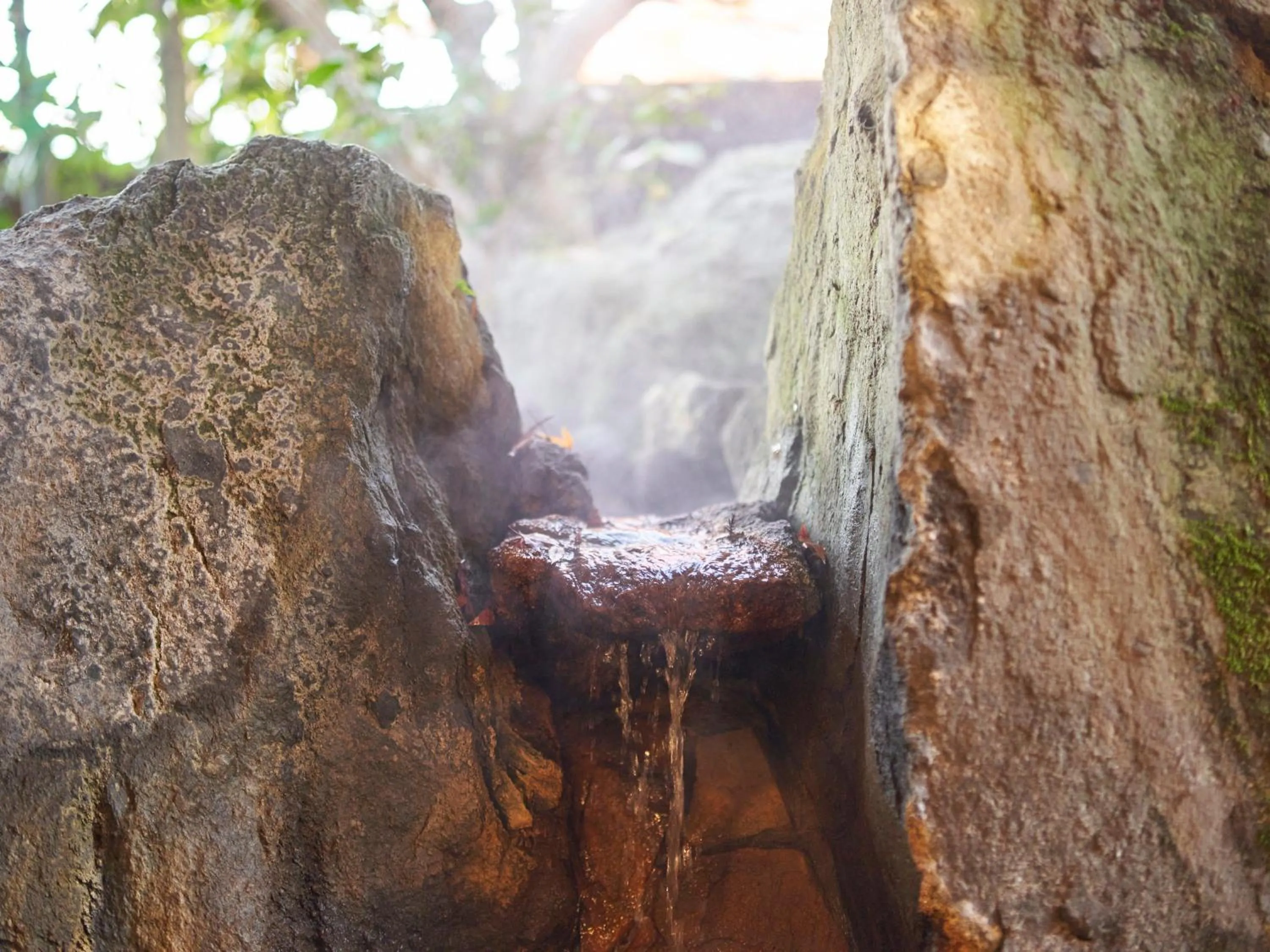 Hot Spring Bath in Yufuin Rakuyu