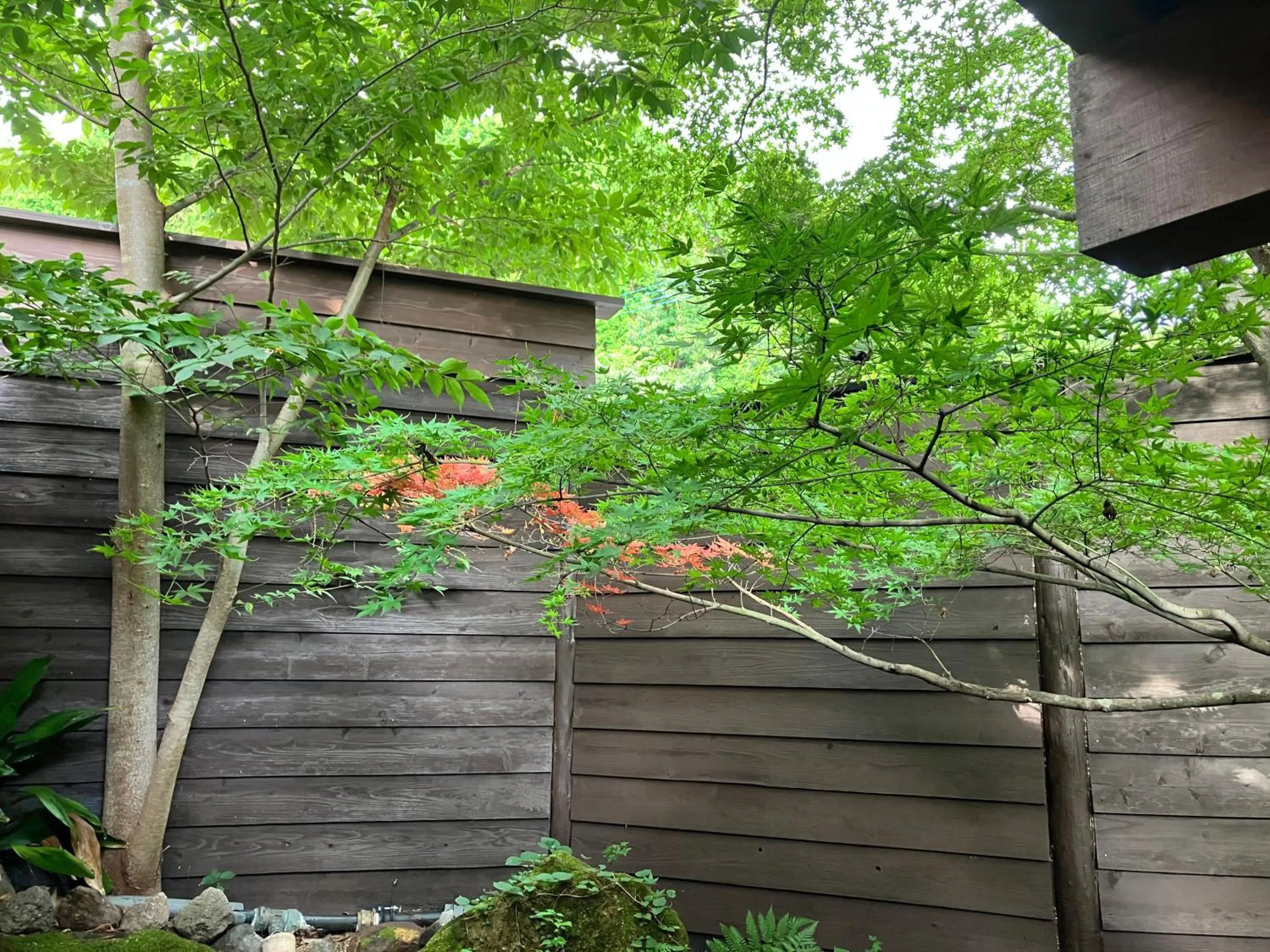 Open Air Bath in Yufuin Rakuyu