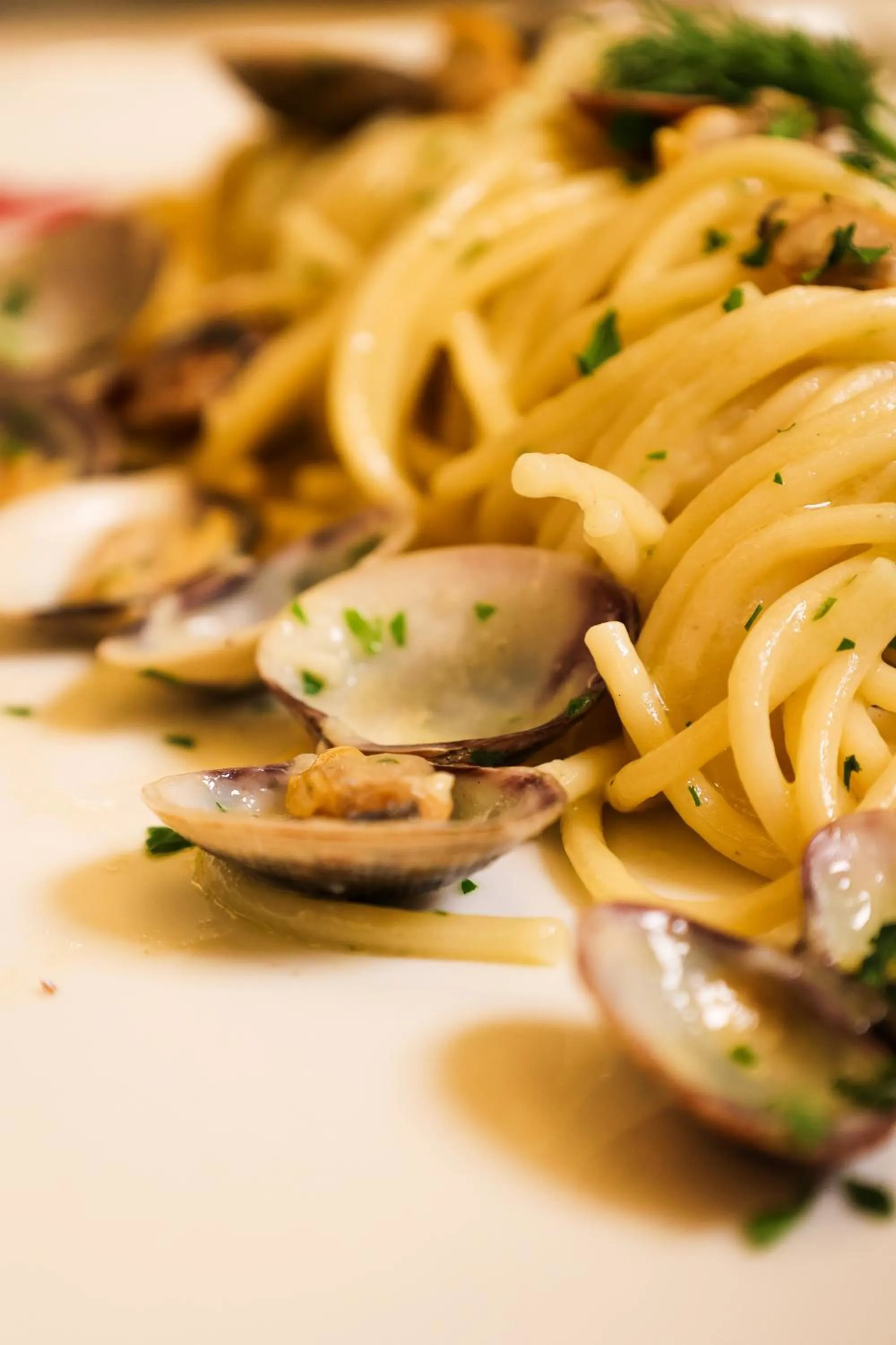 Hotel Ristorante Ca' Nova