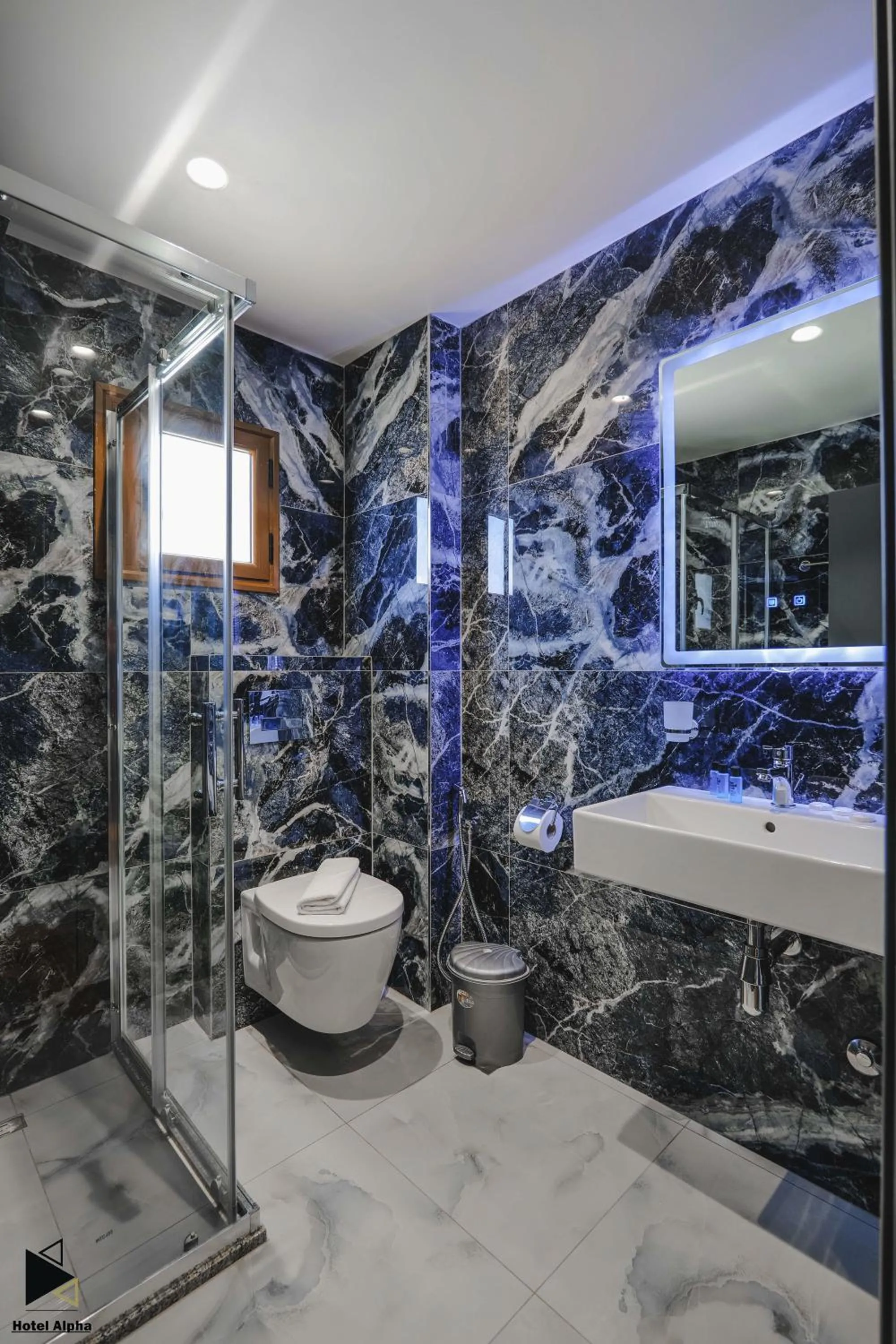 Bathroom in Hotel Alpha