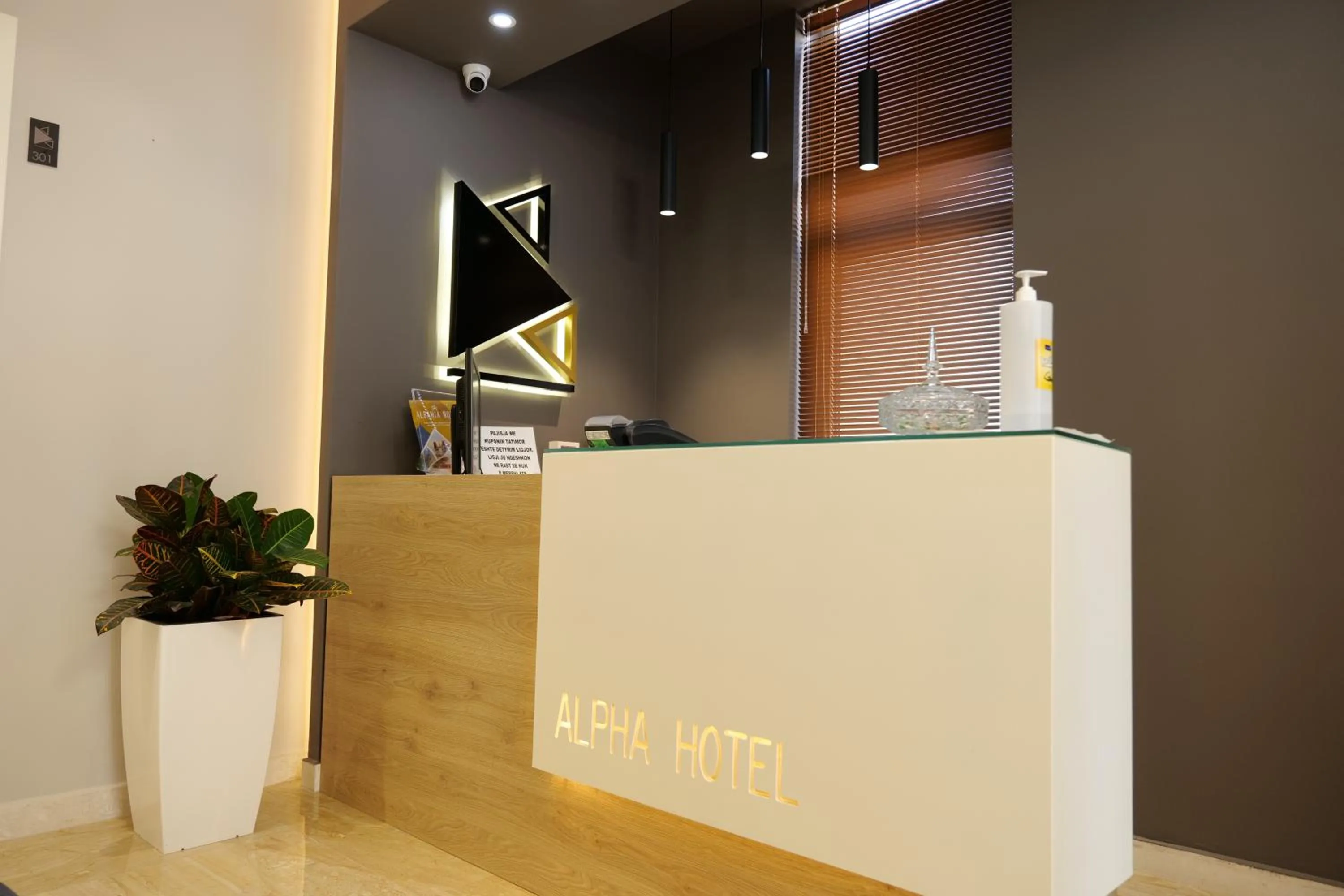 Lobby or reception in Hotel Alpha
