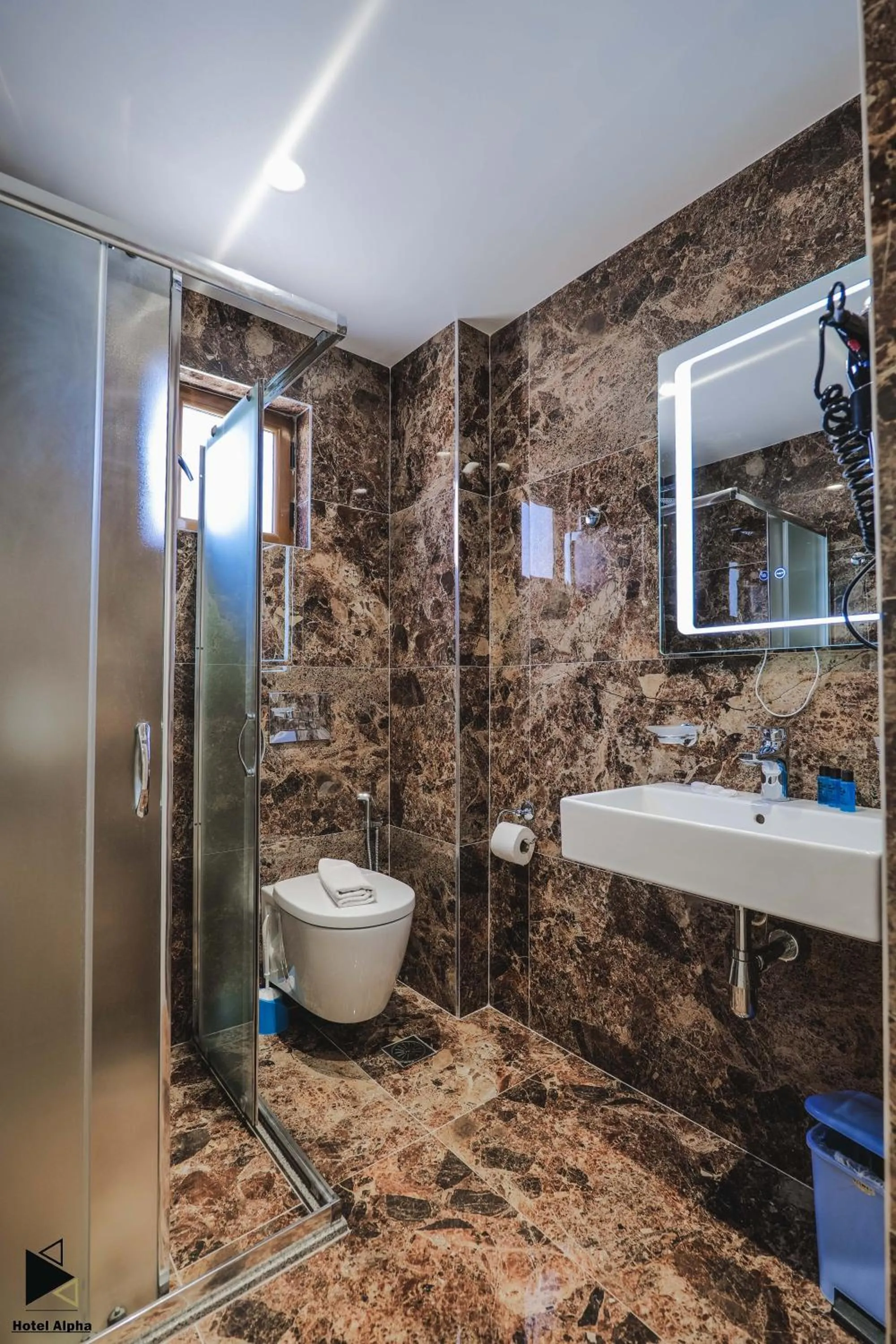 Bathroom in Hotel Alpha