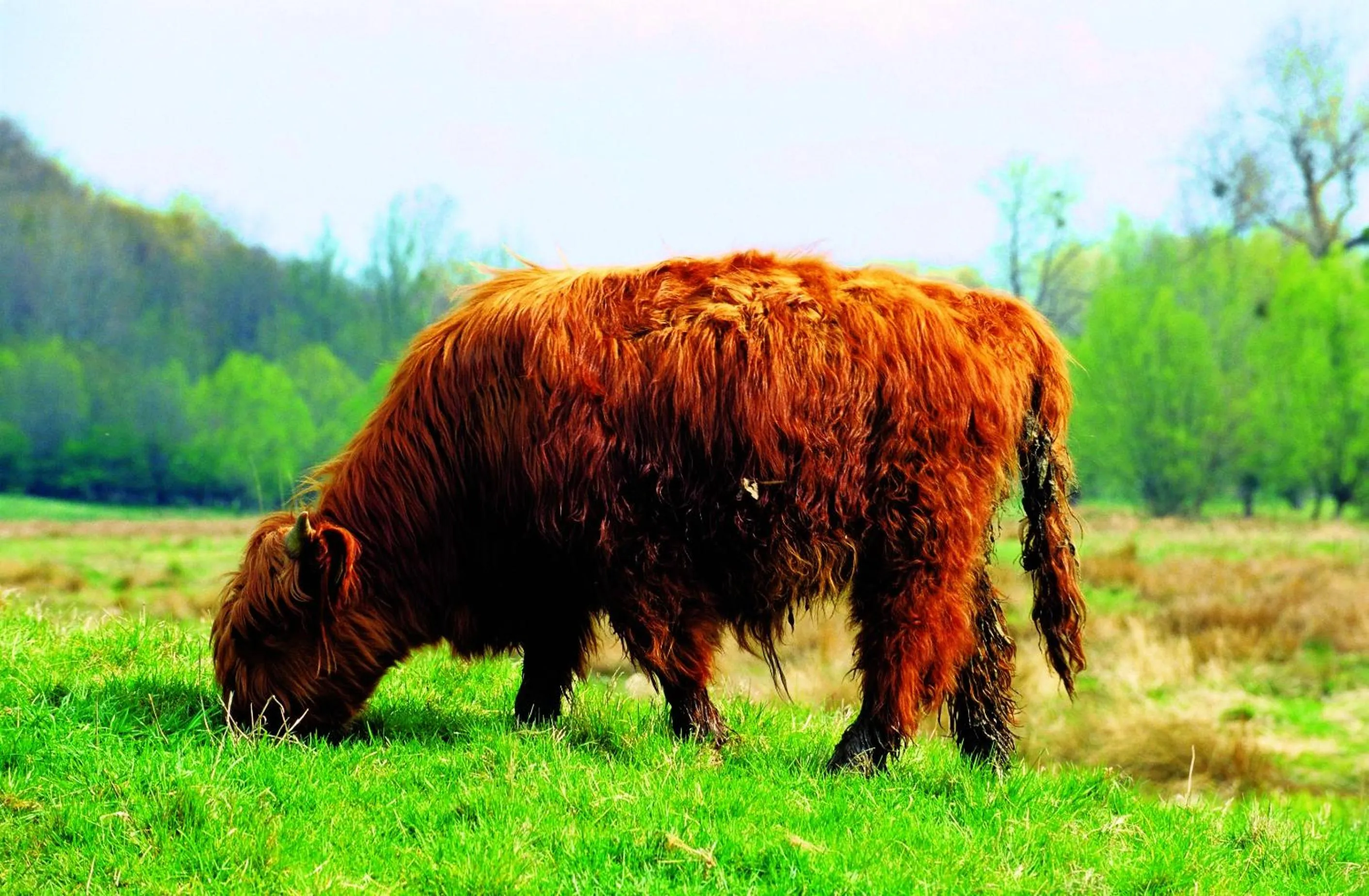 Area and facilities in Fletcher Hotel Restaurant De Geulvallei