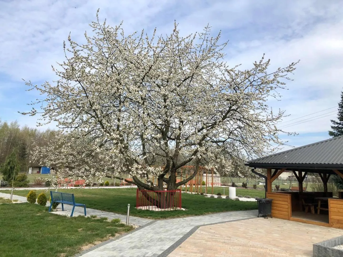 Spring in Hotel Kardamon