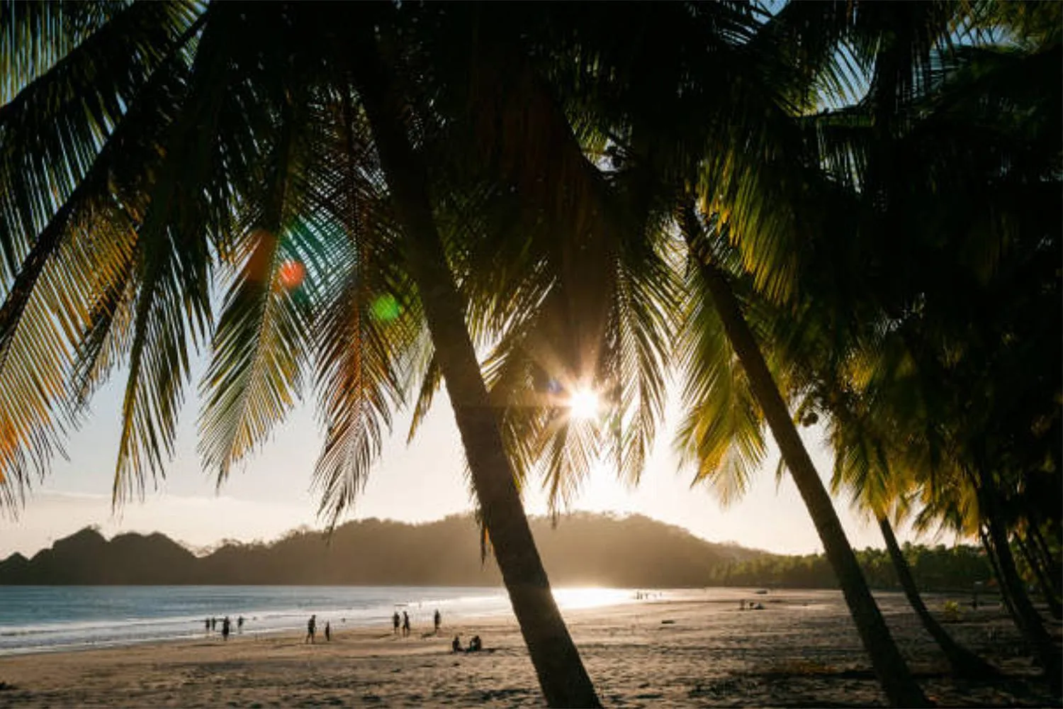 Beach in Seis Playas Hotel