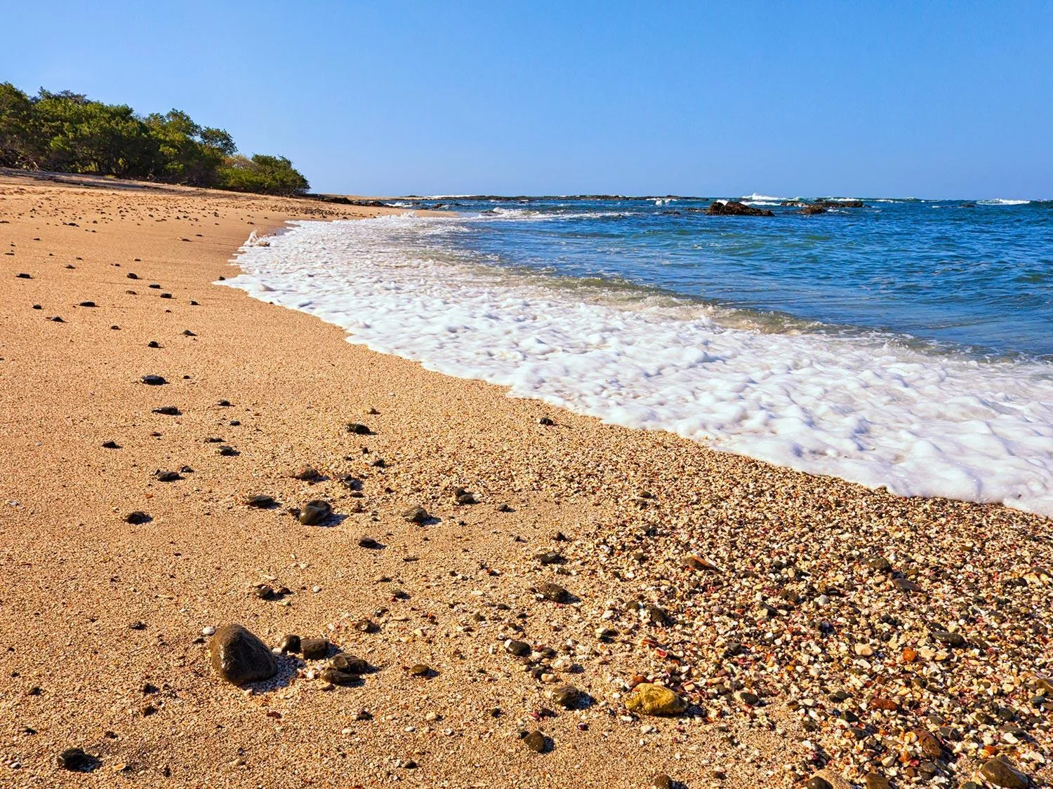 Beach in Seis Playas Hotel