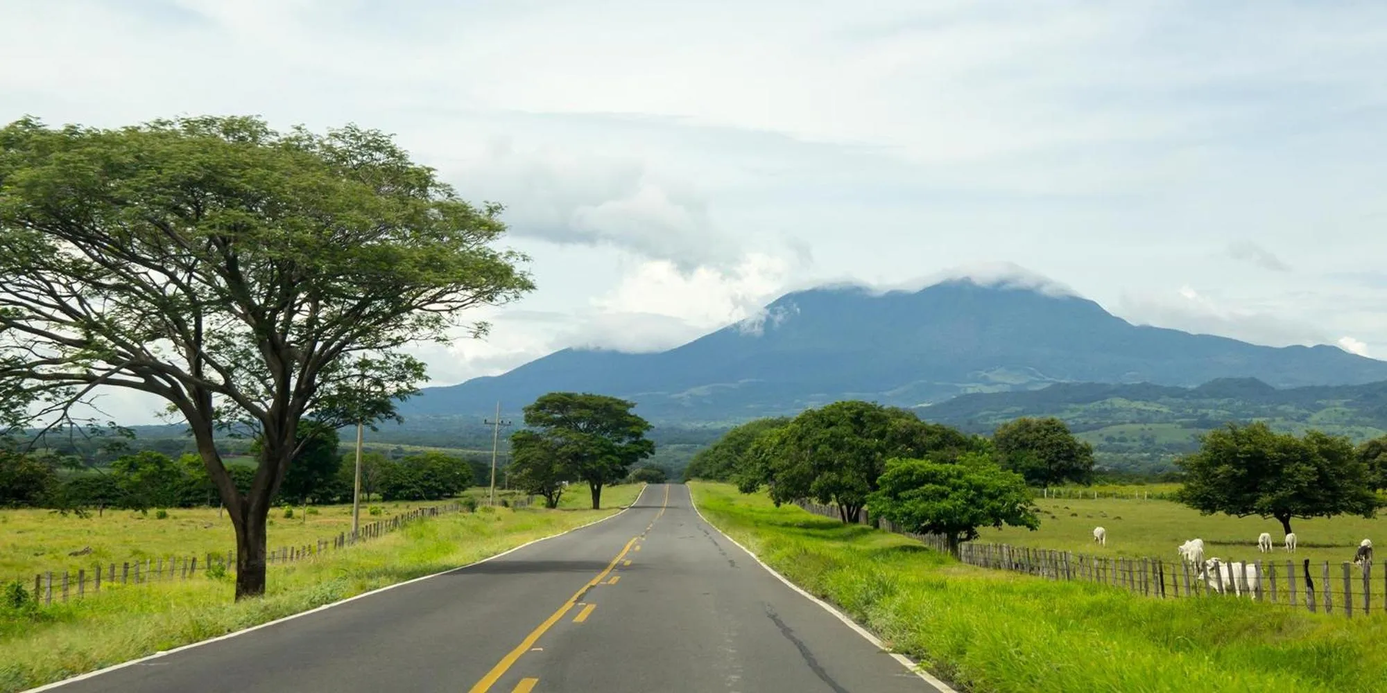 View (from property/room) in Seis Playas Hotel