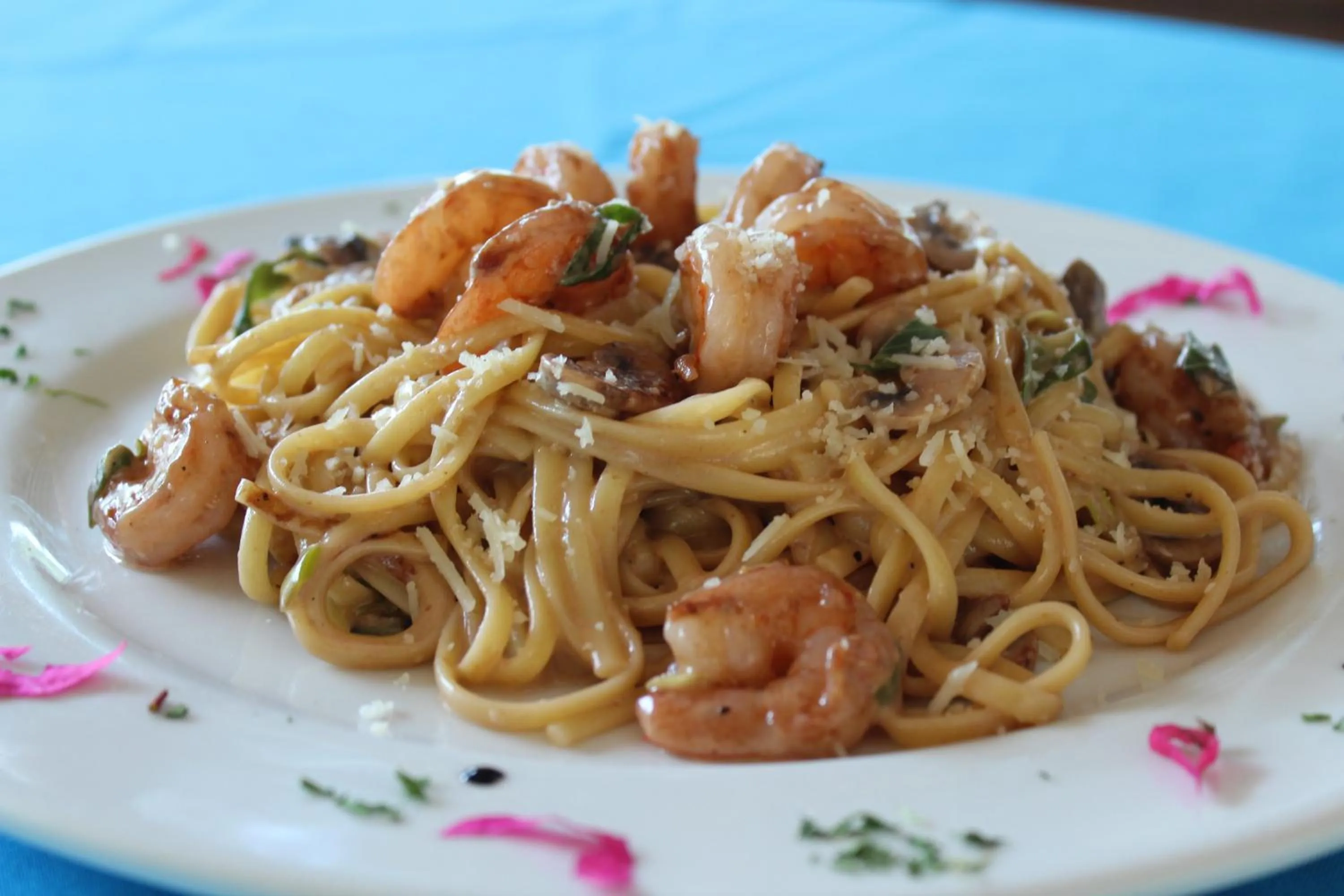 Restaurant/places to eat in Seis Playas Hotel