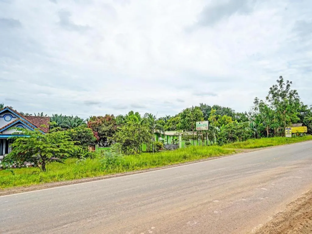 OYO 92024 Green Hotel