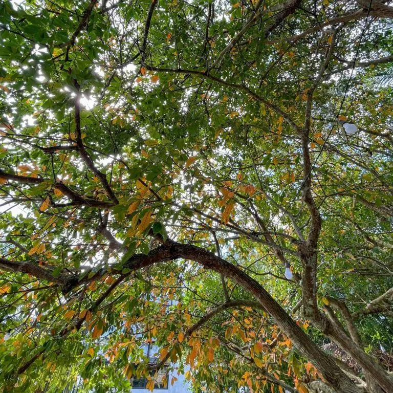 Warehouse18 Pool Cafe Resort