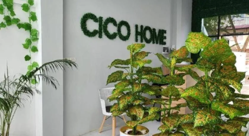 Cico Home