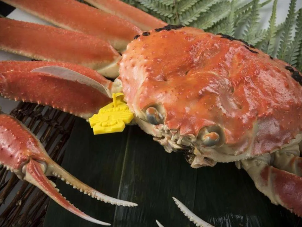 Mikuni Ocean Resort & Hotel