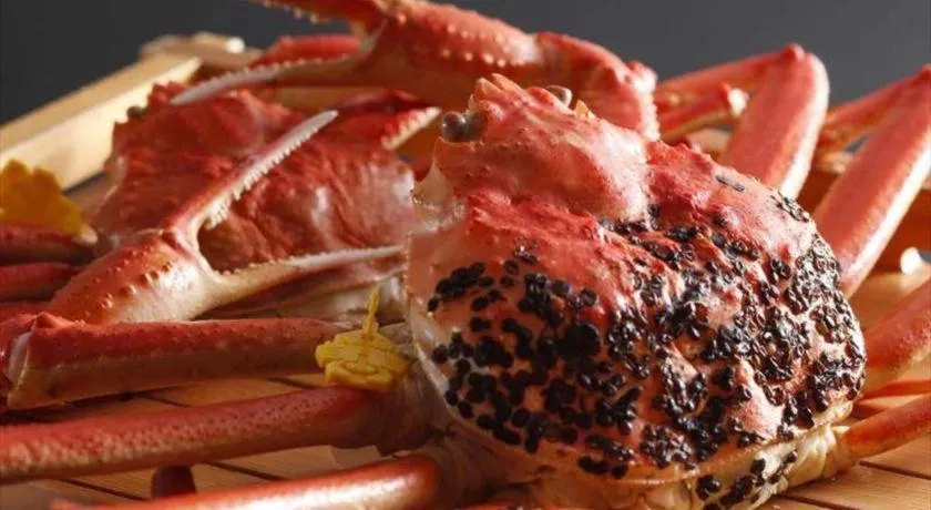 Mikuni Ocean Resort & Hotel