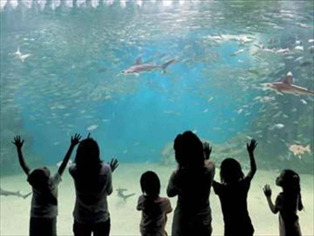 Mikuni Ocean Resort & Hotel