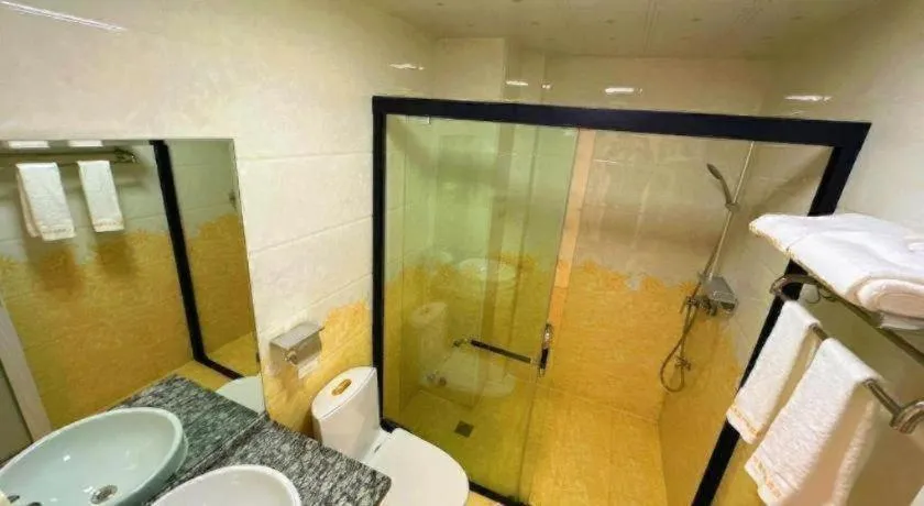 Borrman Hotel Lipu Central Plaza