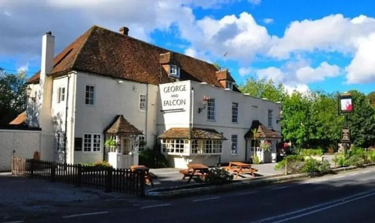 George & falcon George & falcon