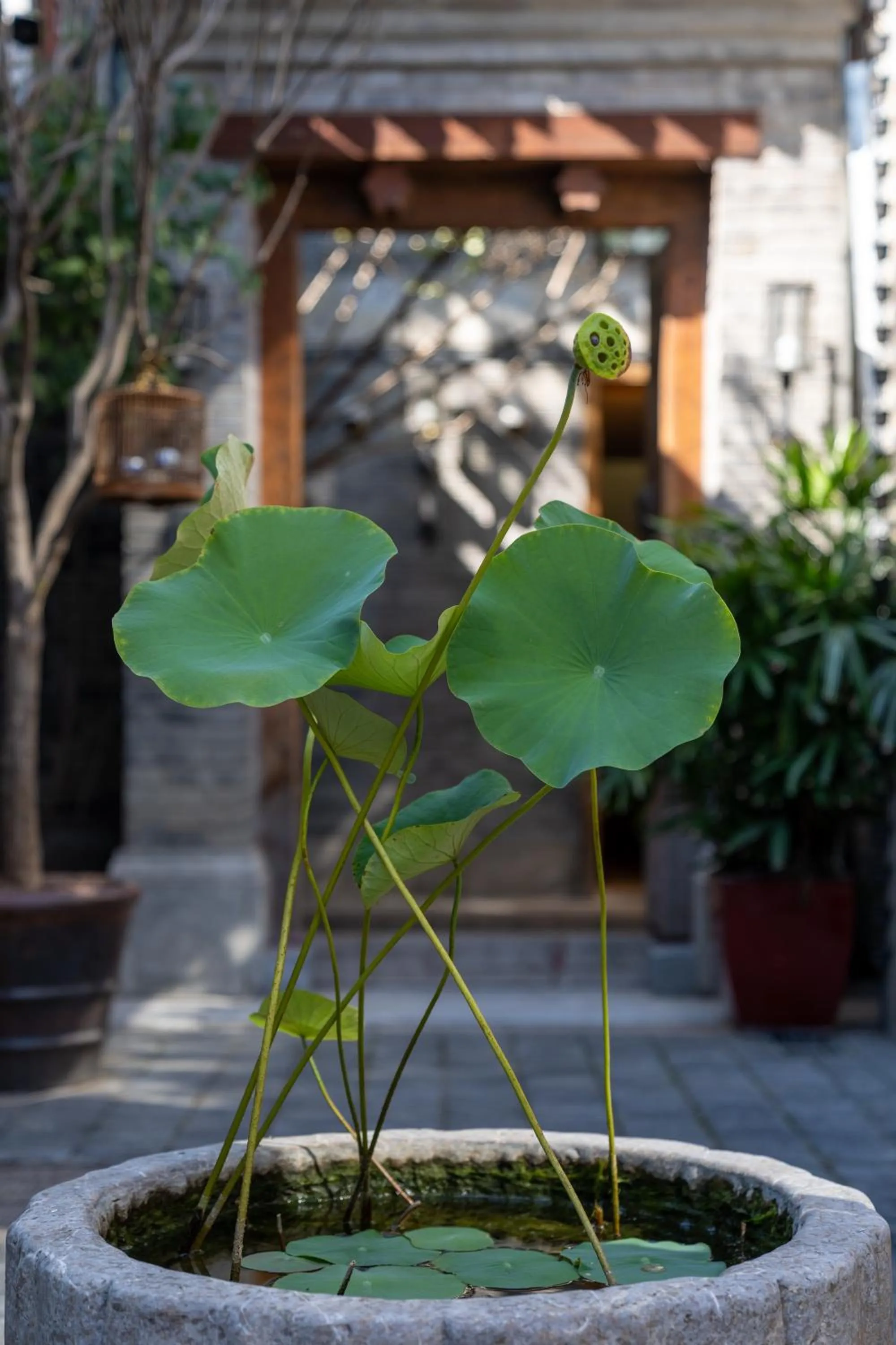 Beijing Le Zai Nan Luo Gu Xiang Wang Fu Jing Forbidden City Courtyard Hotel&Free laundry service&Free coffee &Paid Dumpling experience service