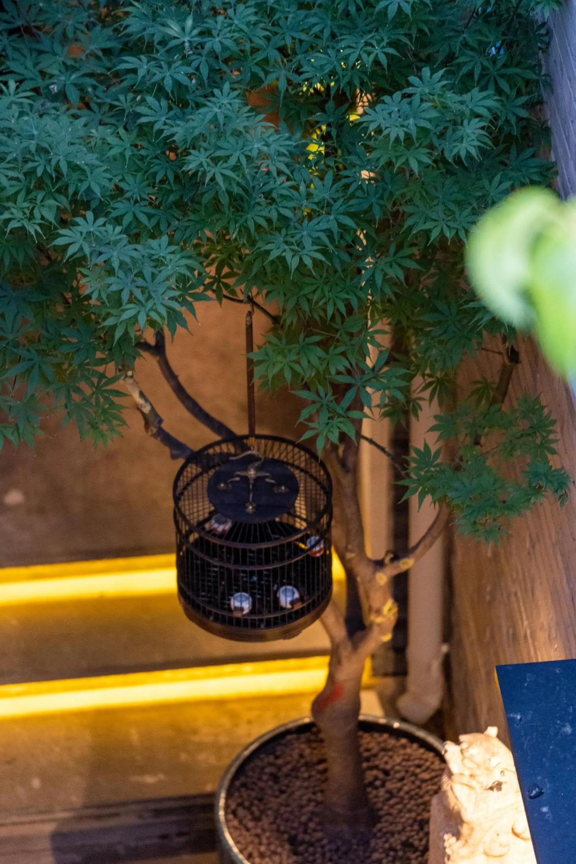 Beijing Le Zai Nan Luo Gu Xiang Wang Fu Jing Forbidden City Courtyard Hotel&Free laundry service&Free coffee &Paid Dumpling experience service