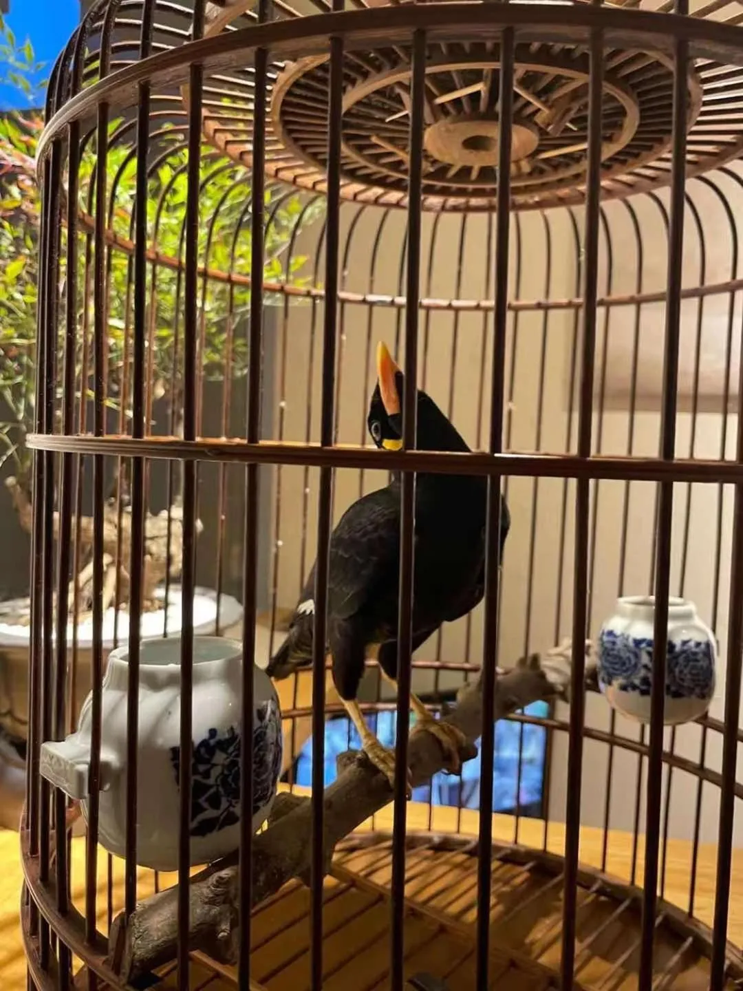 Beijing Le Zai Nan Luo Gu Xiang Wang Fu Jing Forbidden City Courtyard Hotel&Free laundry service&Free coffee &Paid Dumpling experience service