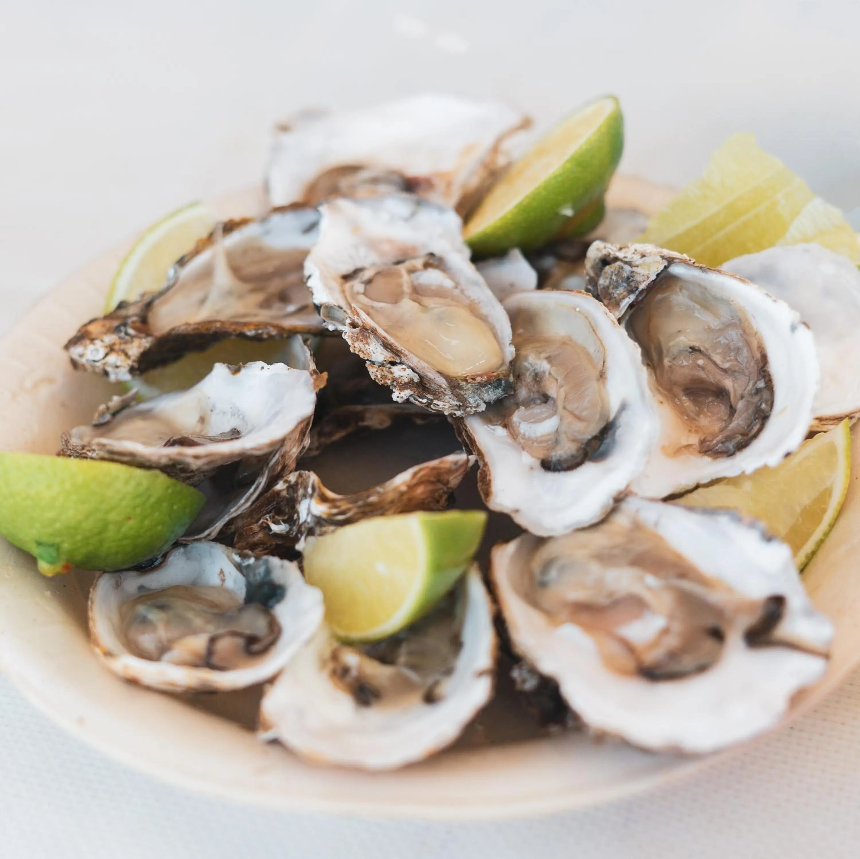 Meals in Bay and Bush Jervis Bay - Nature Retreat