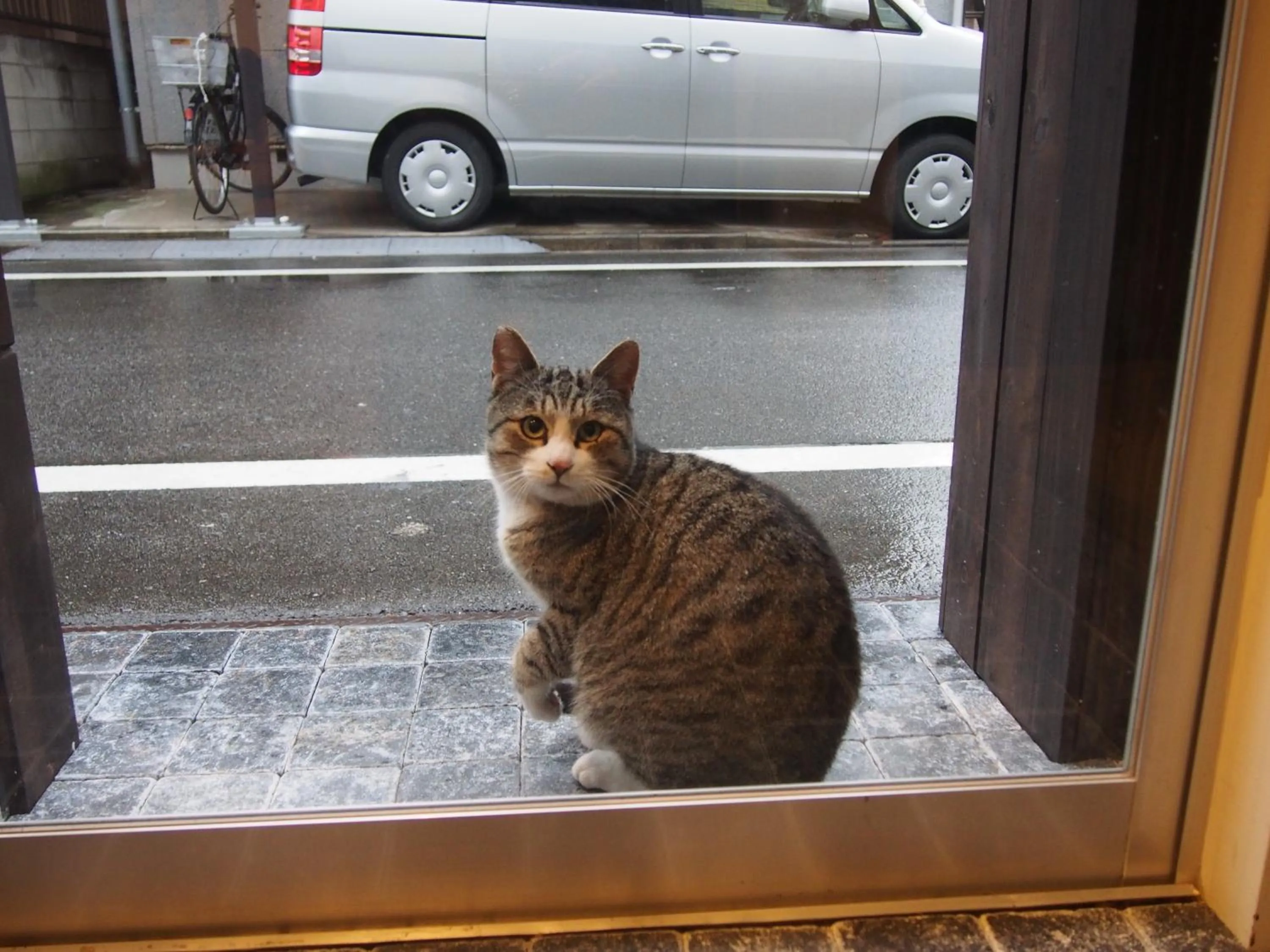 Other in 328 Hostel & Lounge