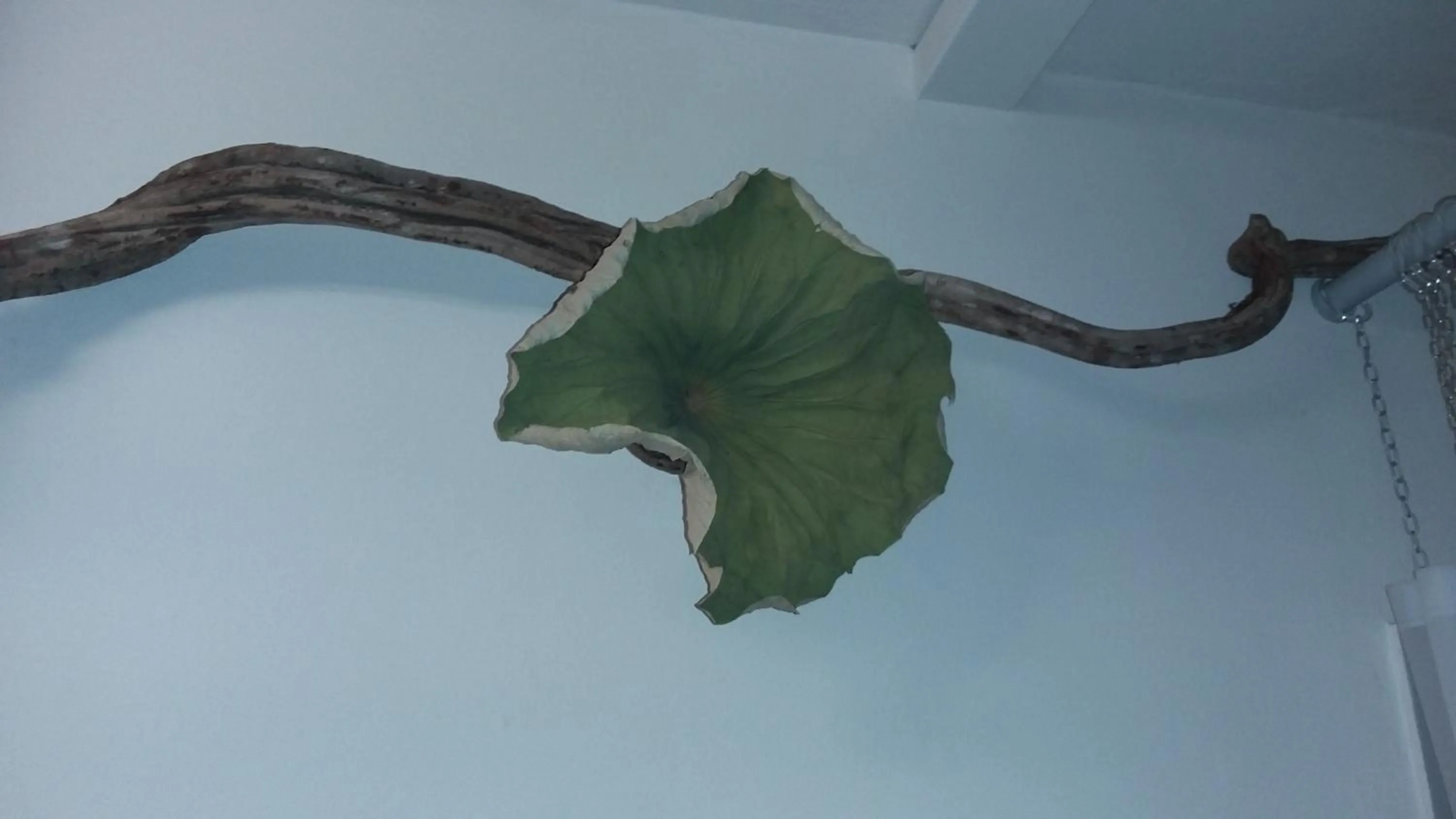 Bathroom in Bed+Art Milano Centrale